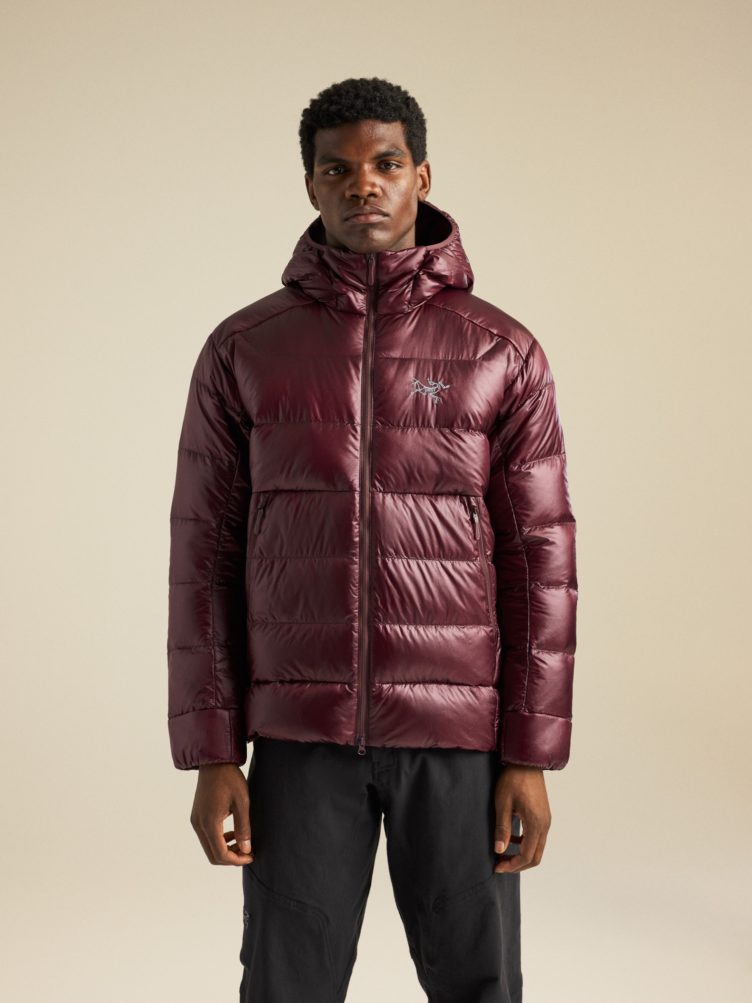 Cerium SV Hoody Men's | Arc'teryx United States