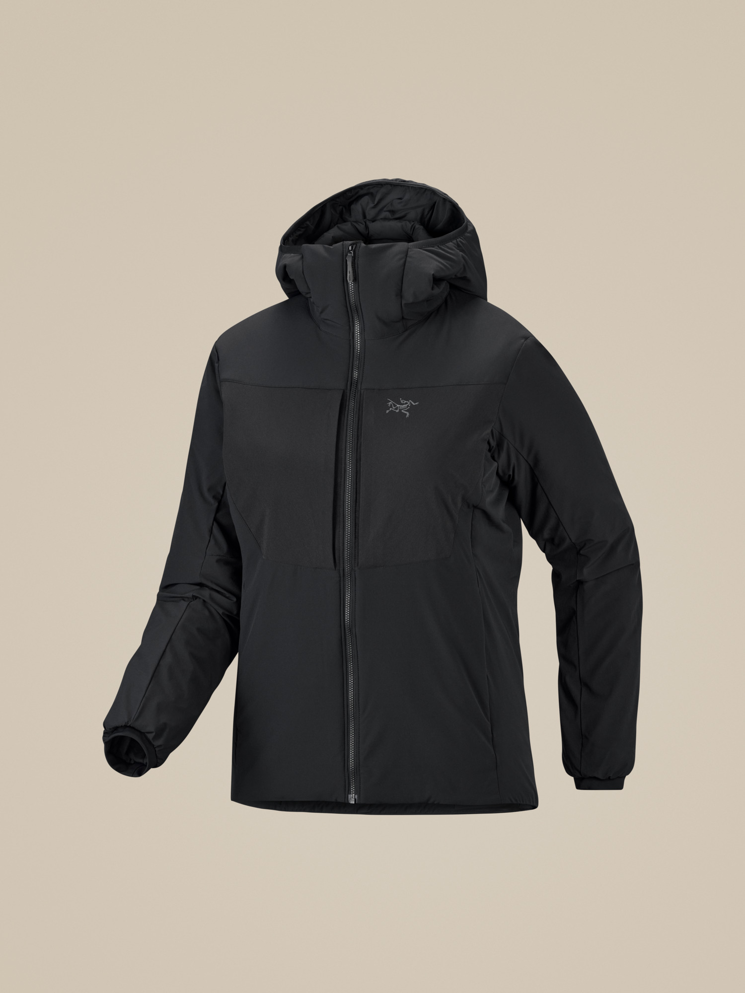 Proton Heavyweight Hoody