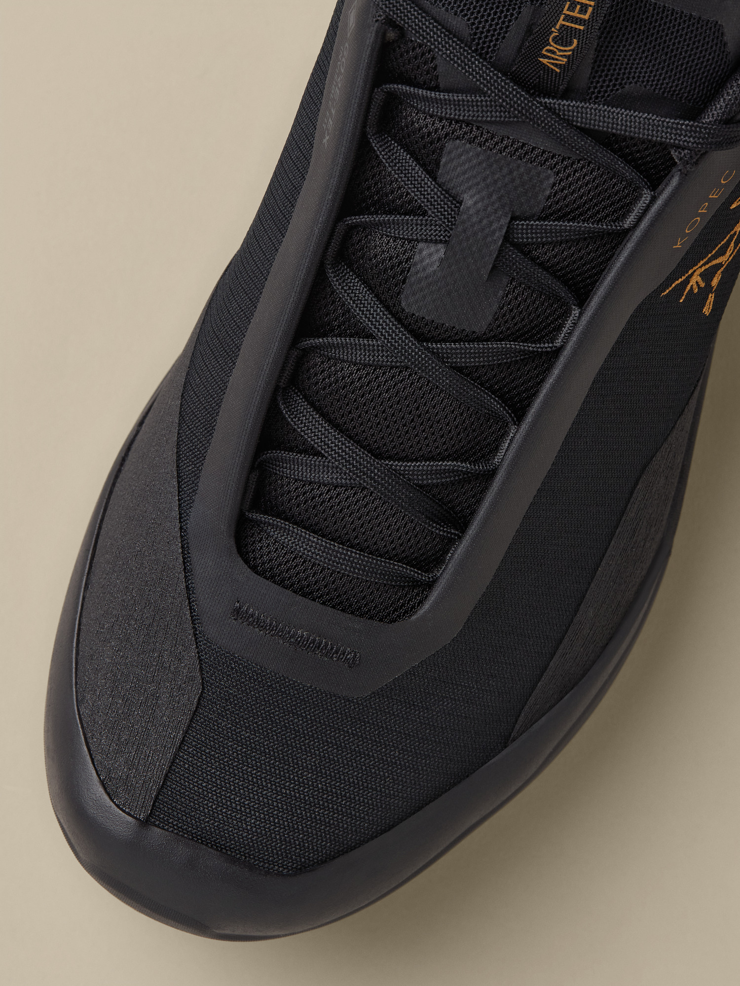Kopec 2 Low GTX Shoe