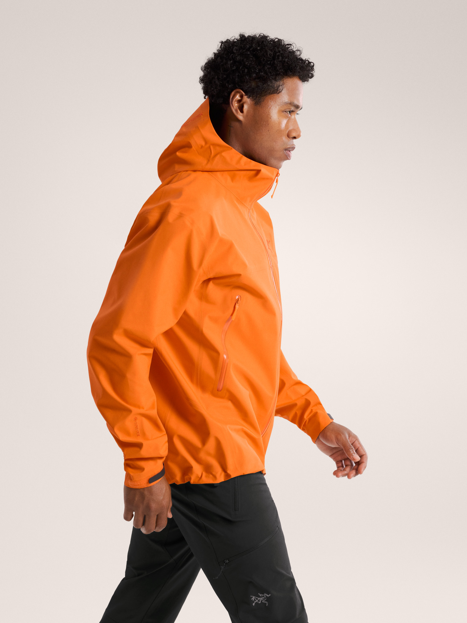 超希少！ARC'TERYX BETA SV JACKET M アークテリクス Arc'teryx Beta SV Jacket Review | Switchback Travel
