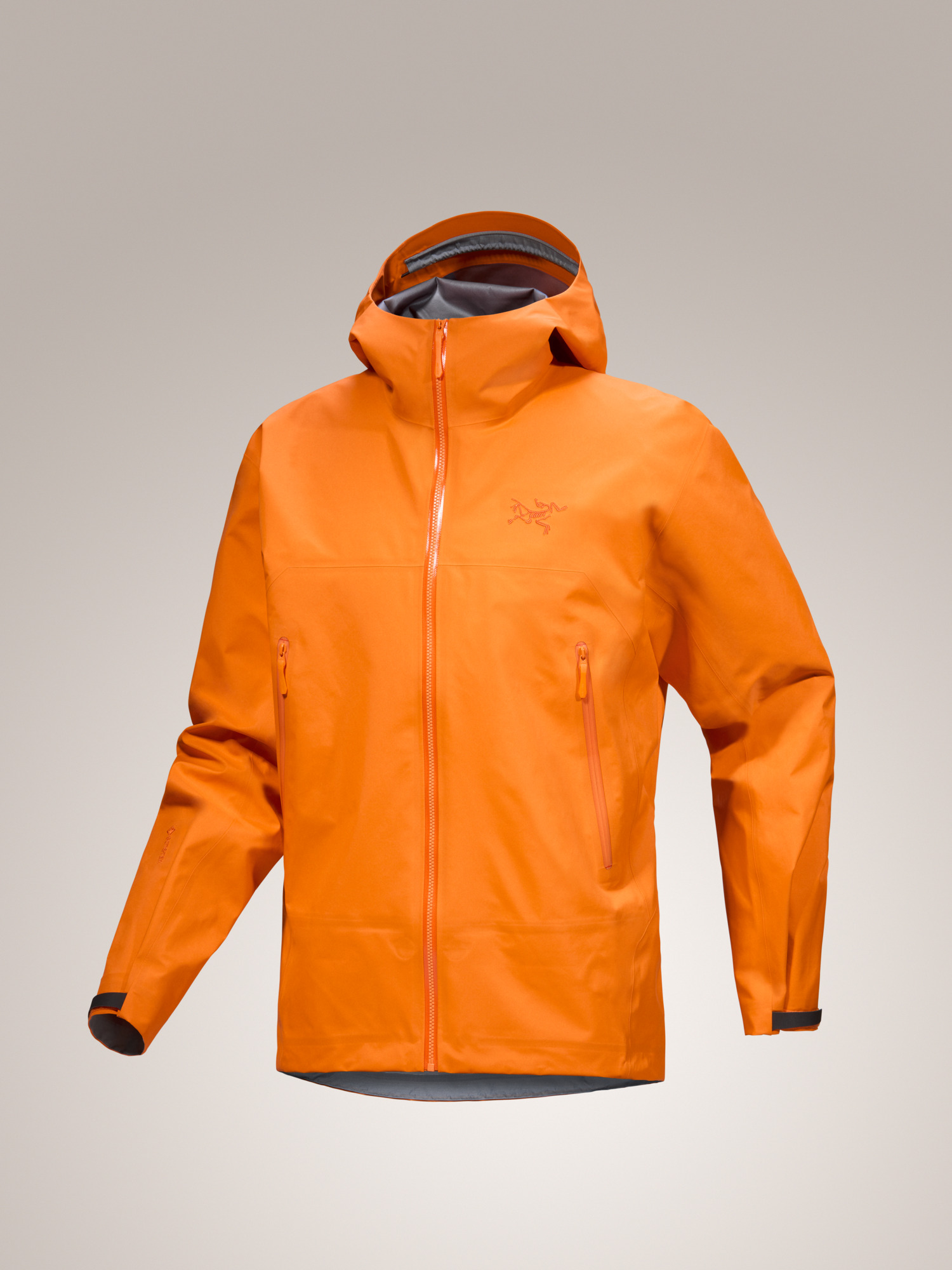Arc'teryx Beta SL Jacket レアカラー 金刺繍 arcteryx beams別注 金刺繍 beta sl jackets - メルカリ