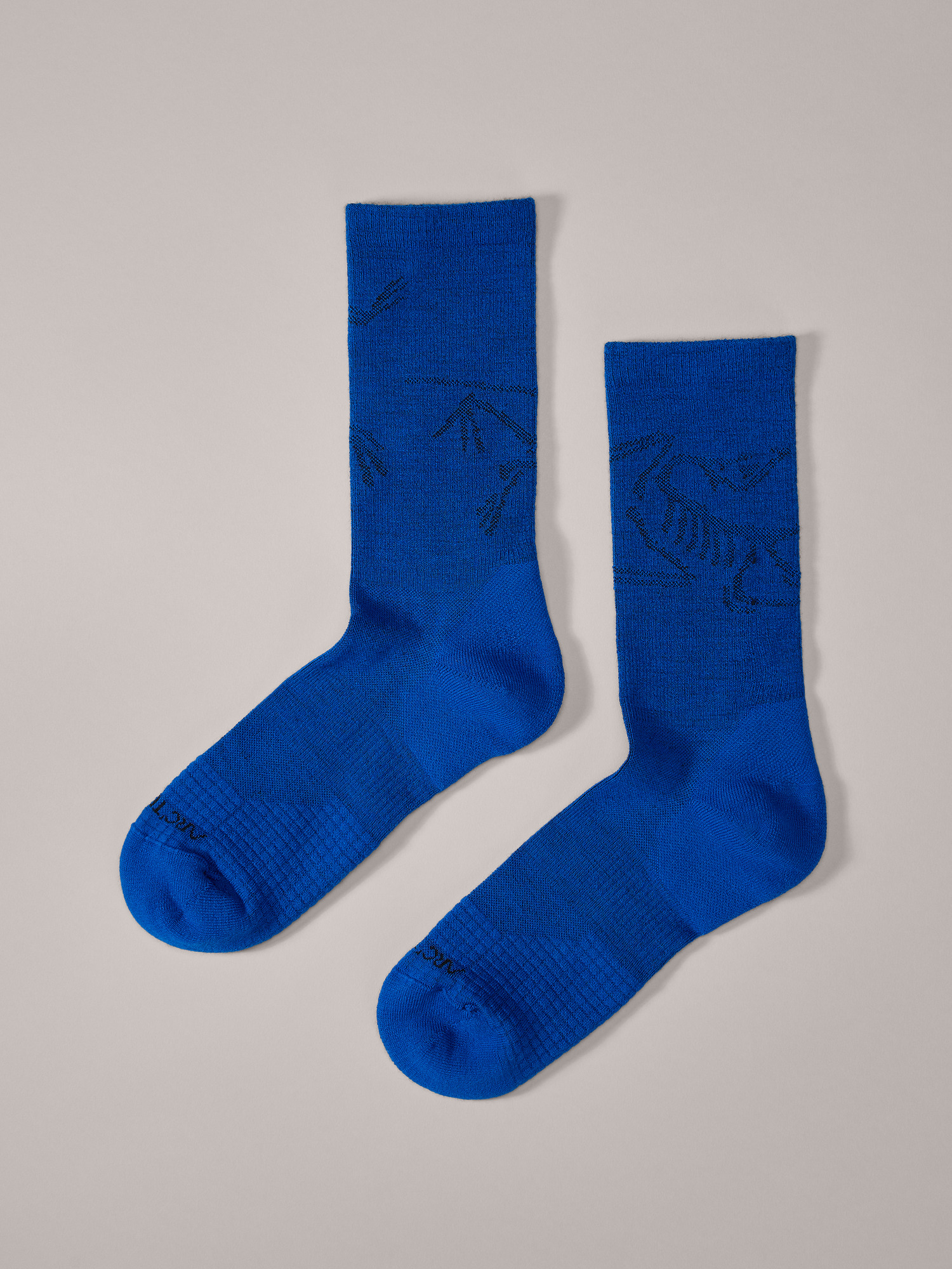 Merino Wool Mid Bird Sock | Arc'teryx