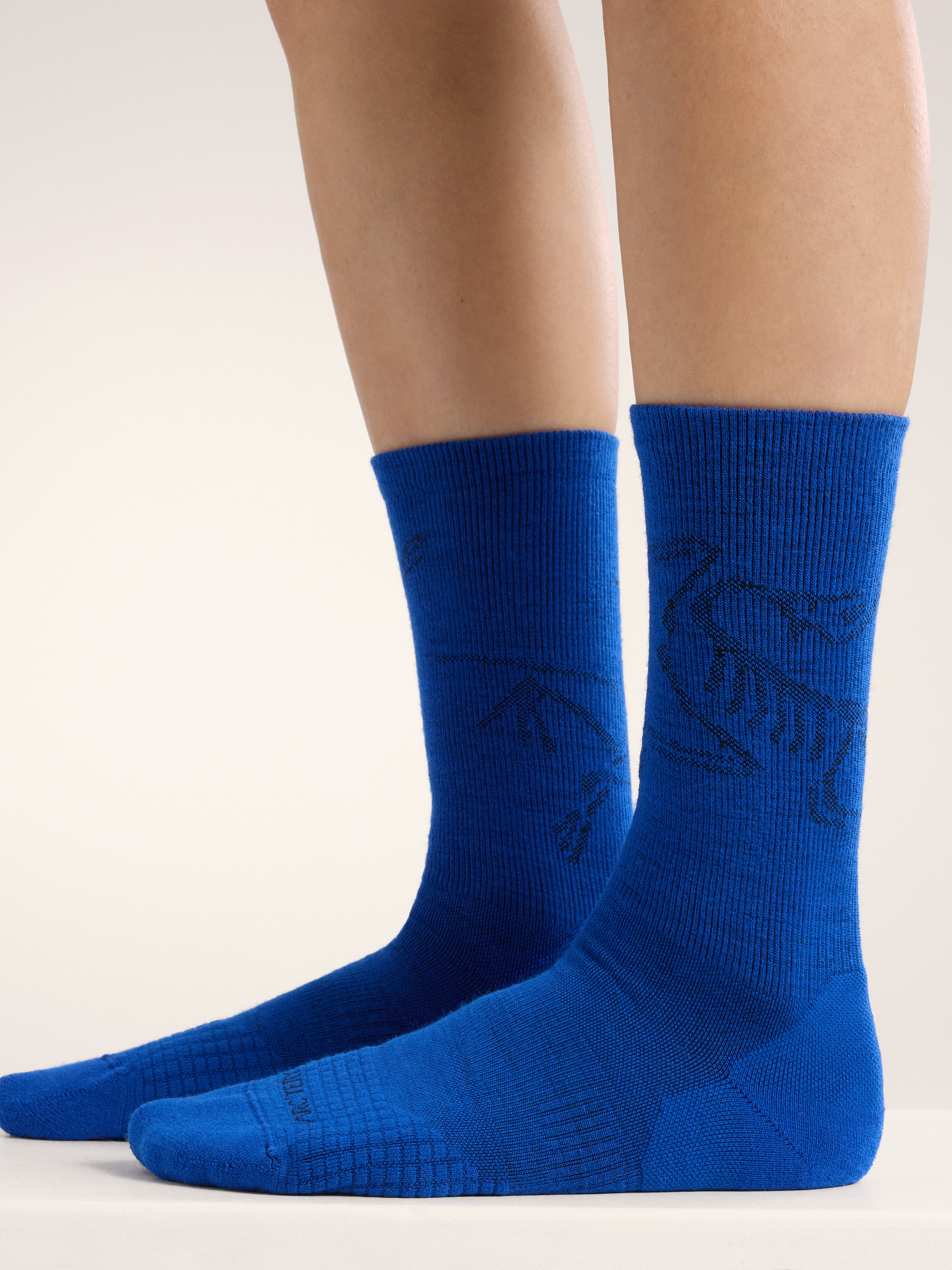 Merino Wool Mid Bird Sock | Arc'teryx