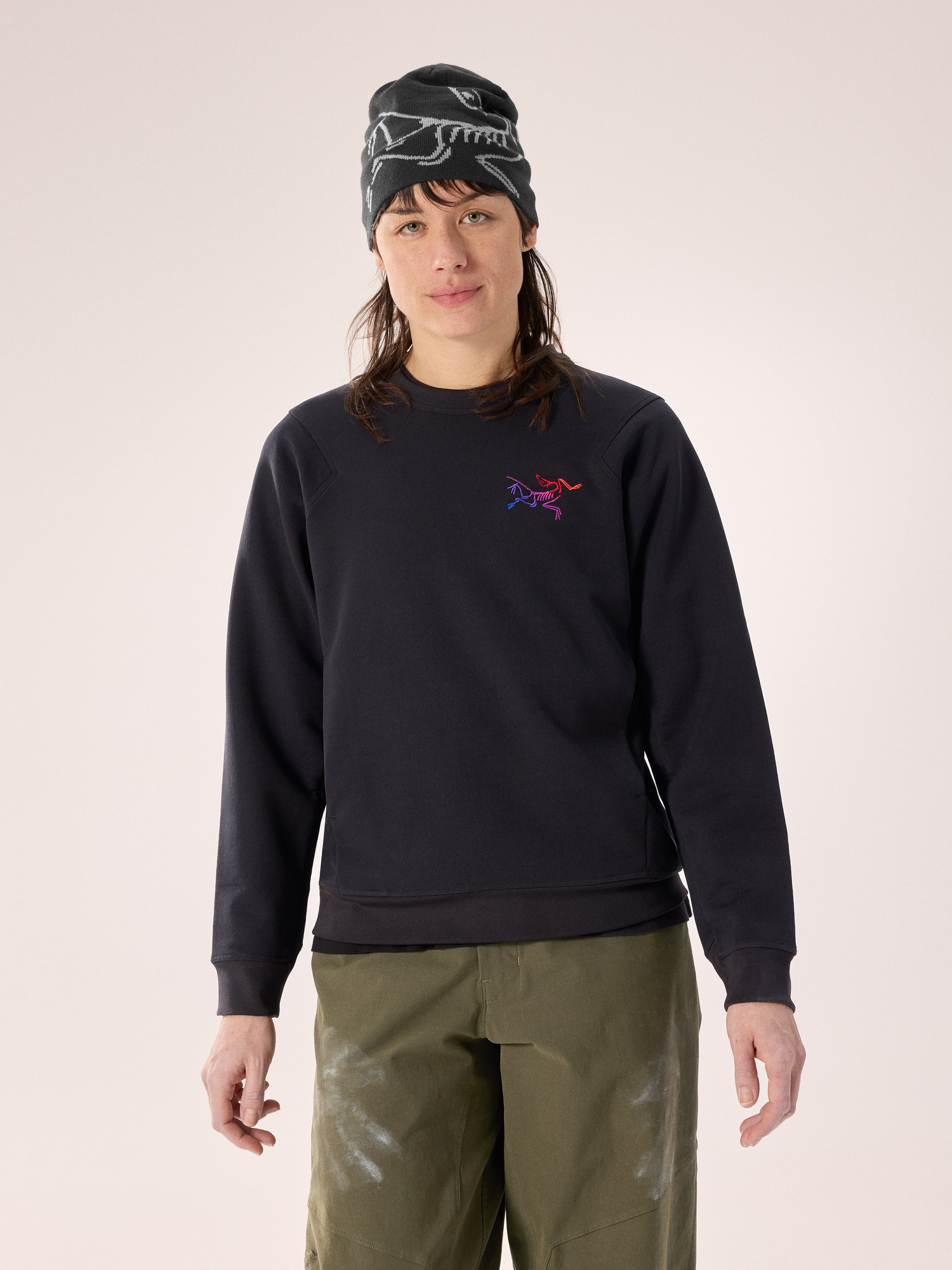 トップス Aestas Crew Neck Pullover Women's Aestas Crew Neck Pullover Women's | Arc'teryx