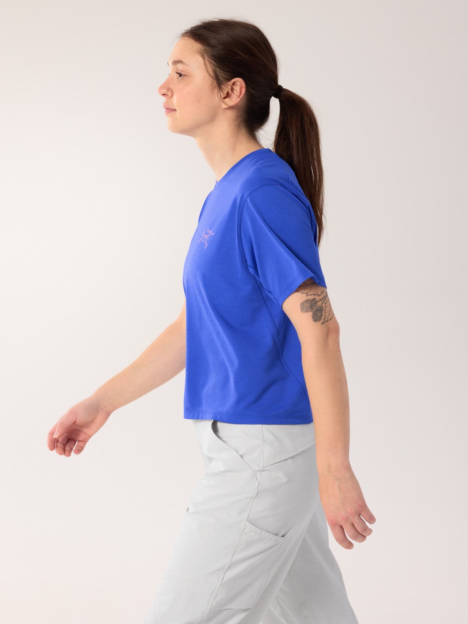 今週末まで値下げ‼️ARC'TERYX TAEMA SS WOMEN'S XS Taema Crew Neck Shirt SS Women's | Arc'teryx