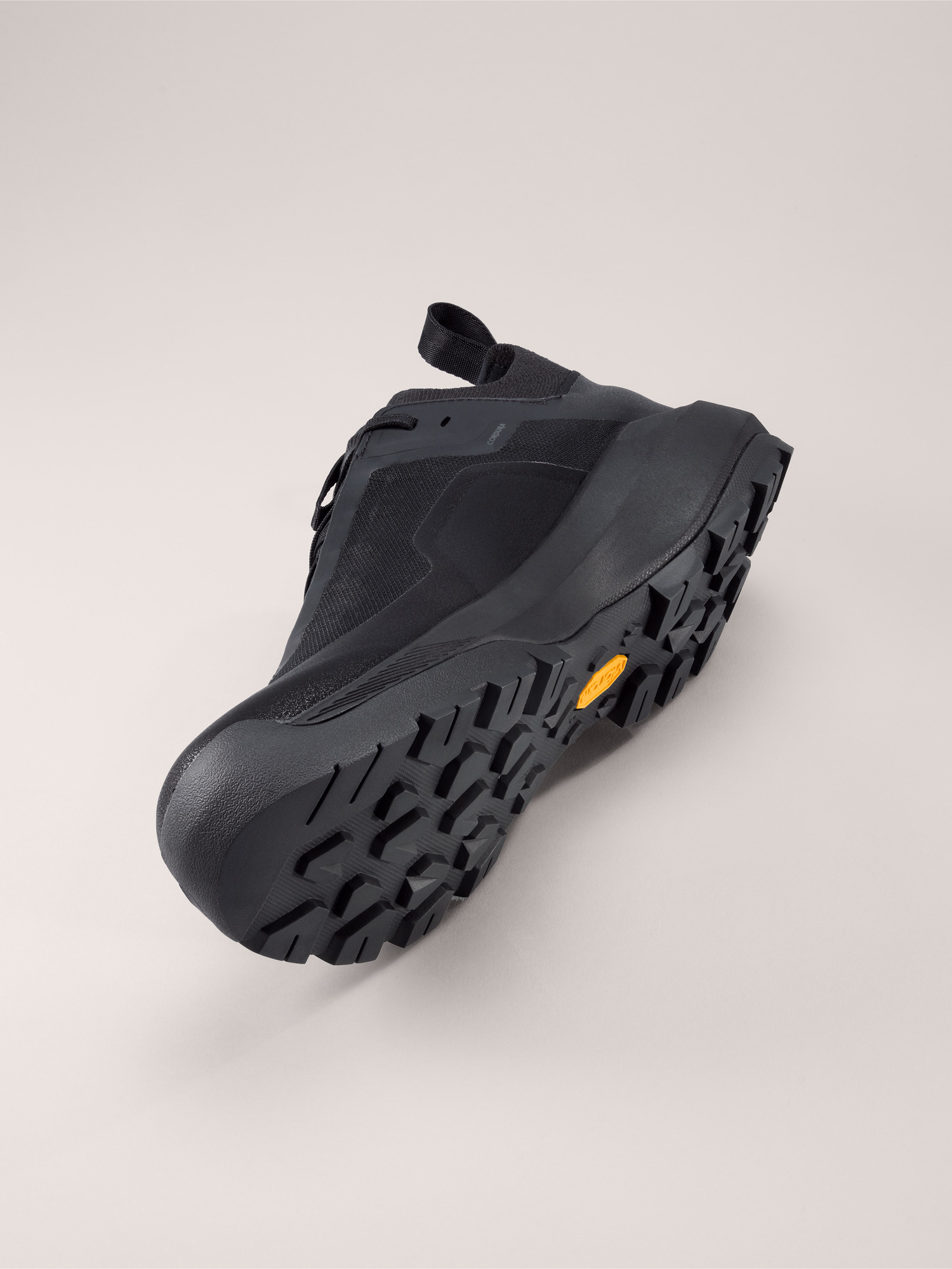 Vertex Alpine GTX Shoe