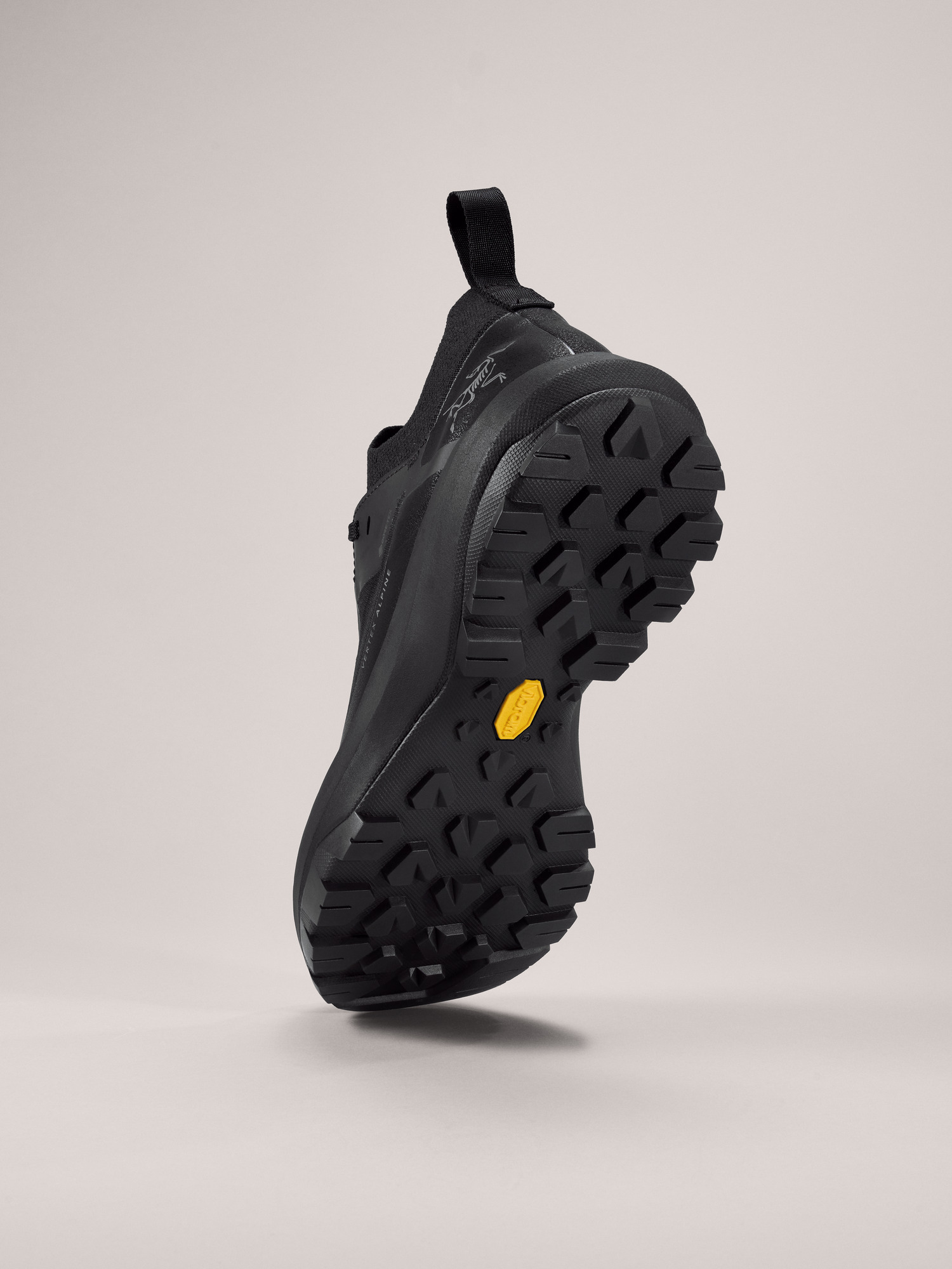 S25-X000009602-Vertex-Alpine-