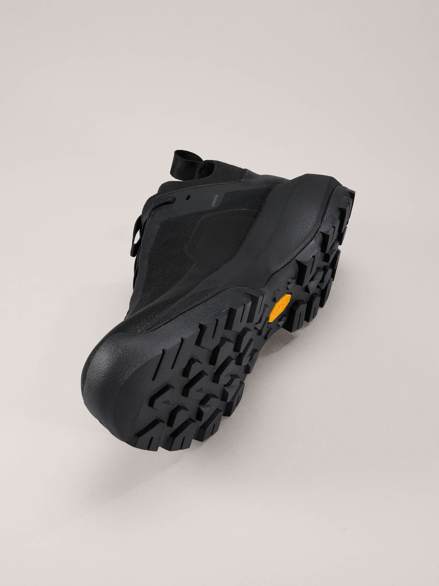 Vertex Alpine GTX Shoe