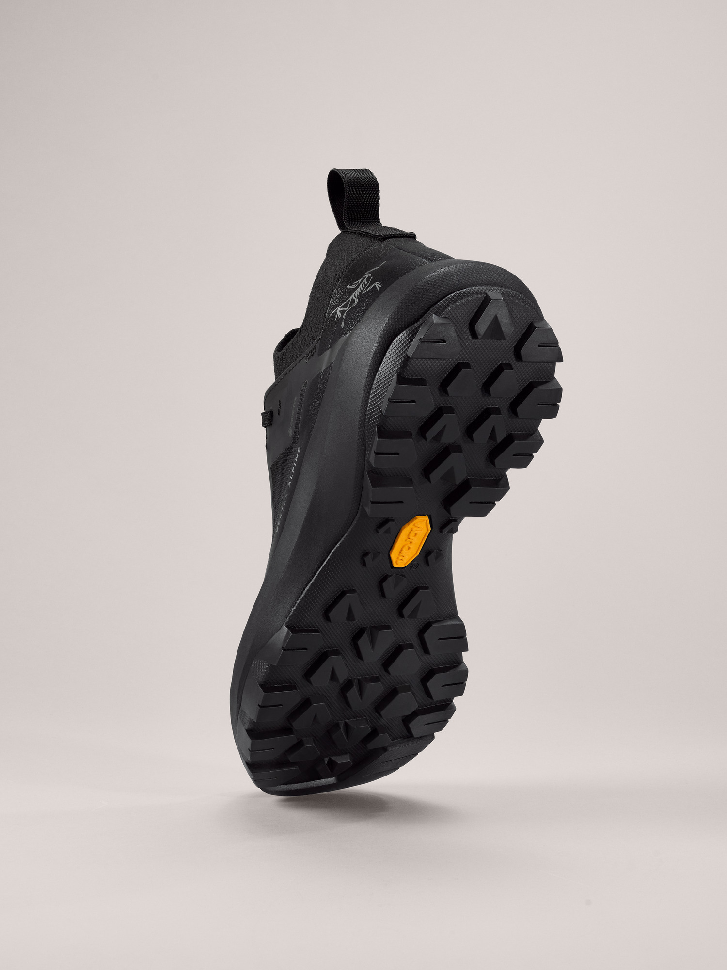 Vertex Alpine GTX Shoe