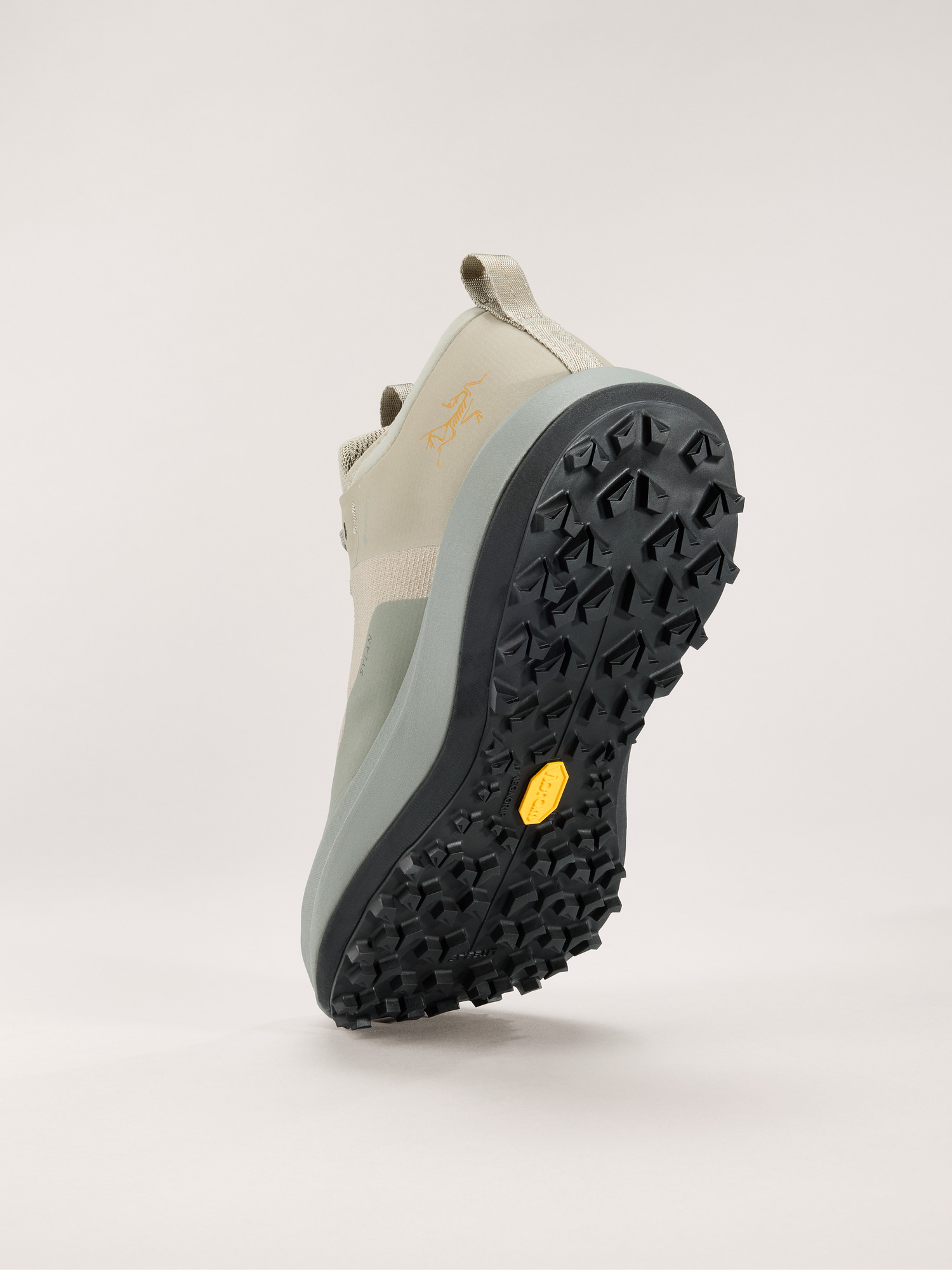 S25-X000009605-Sylan-GTX-Shoe-