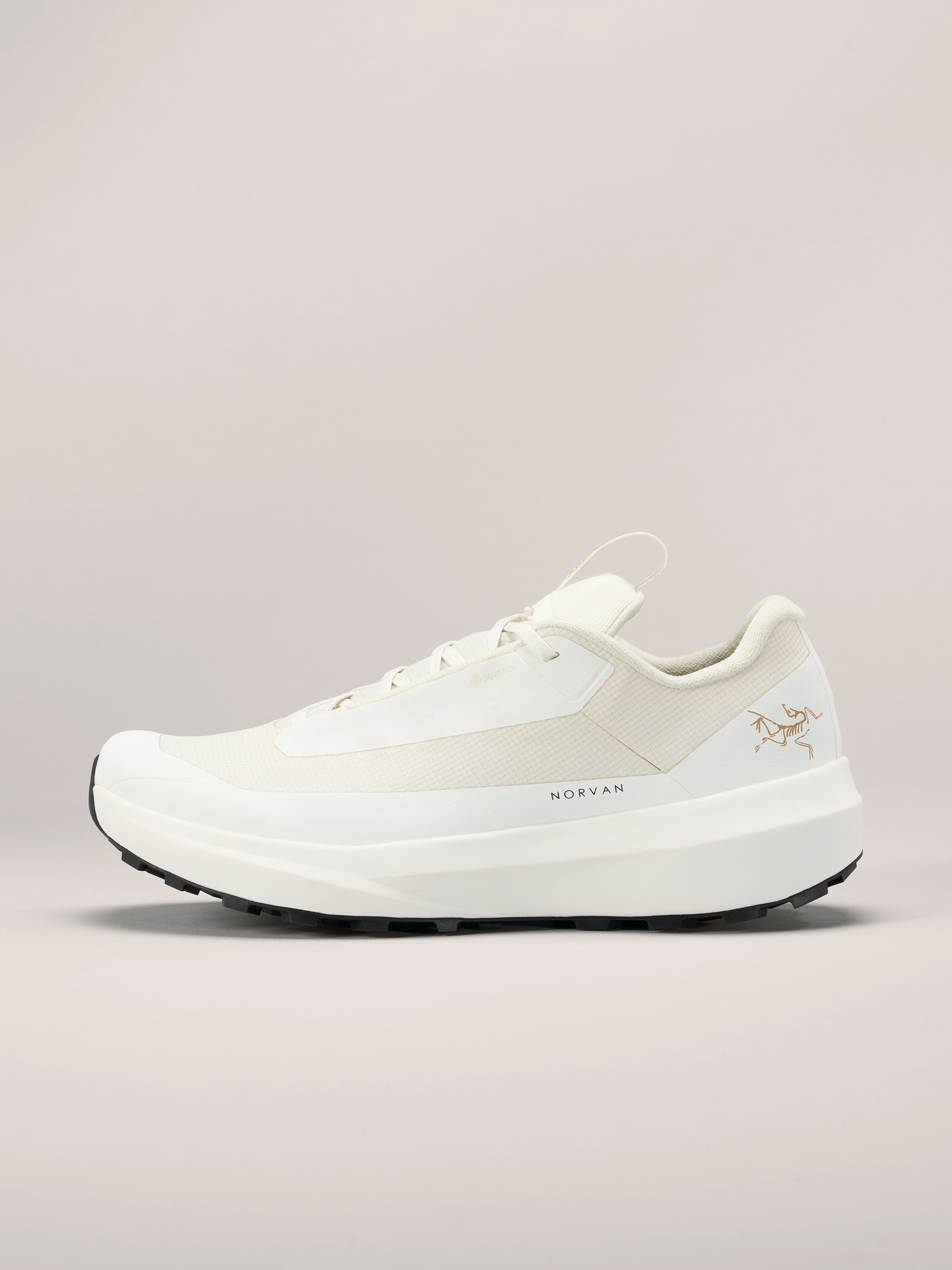 Norvan LD 4 GTX Shoe Women's | Arc'teryx