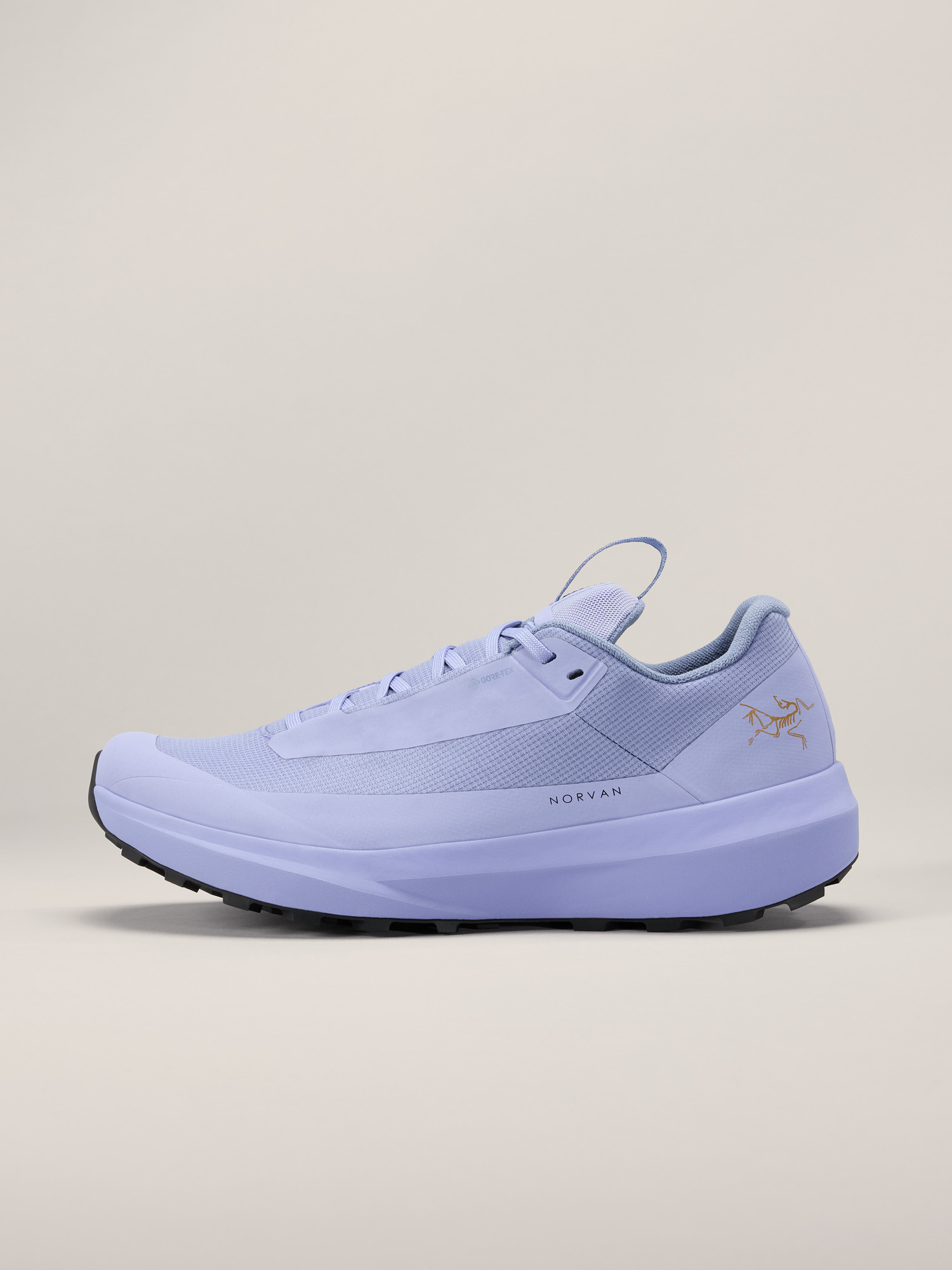 Norvan LD 4 GTX Shoe Women's | Arc'teryx
