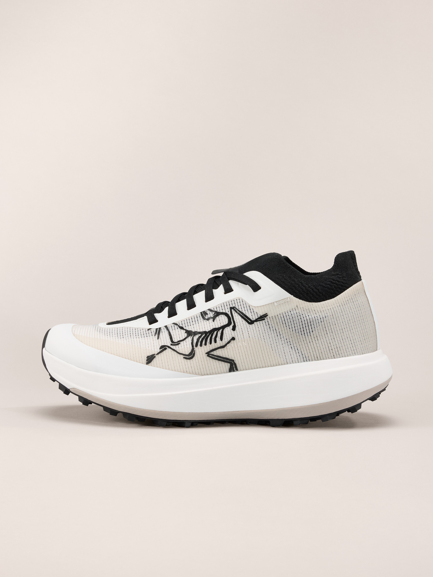 【ARC`TERYX】 SYLAN PRO W 25SS off white Sylan Pro Shoe Men's | Arc'teryx