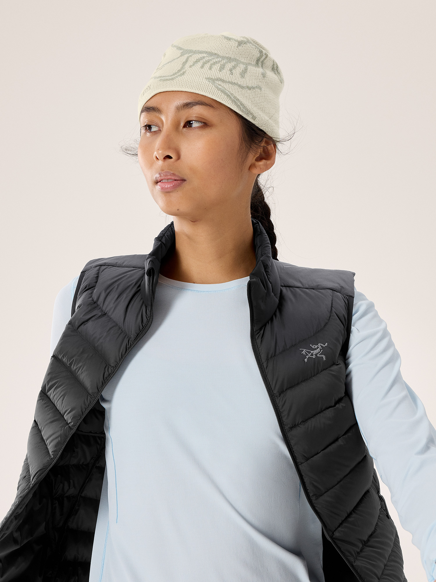 Bird Head Toque | Arc'teryx United States