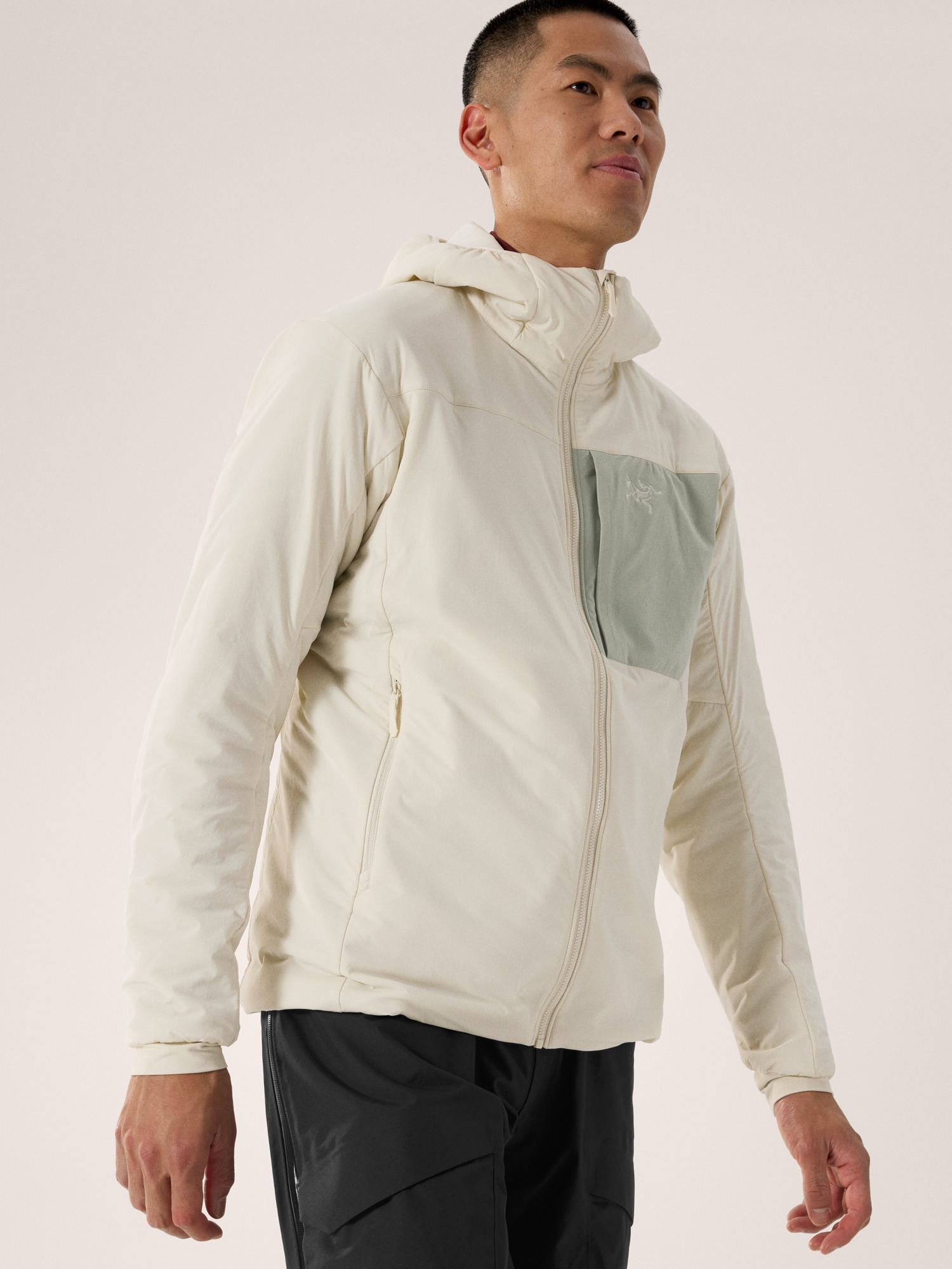 Proton Hoody Men's | Arc'teryx United States