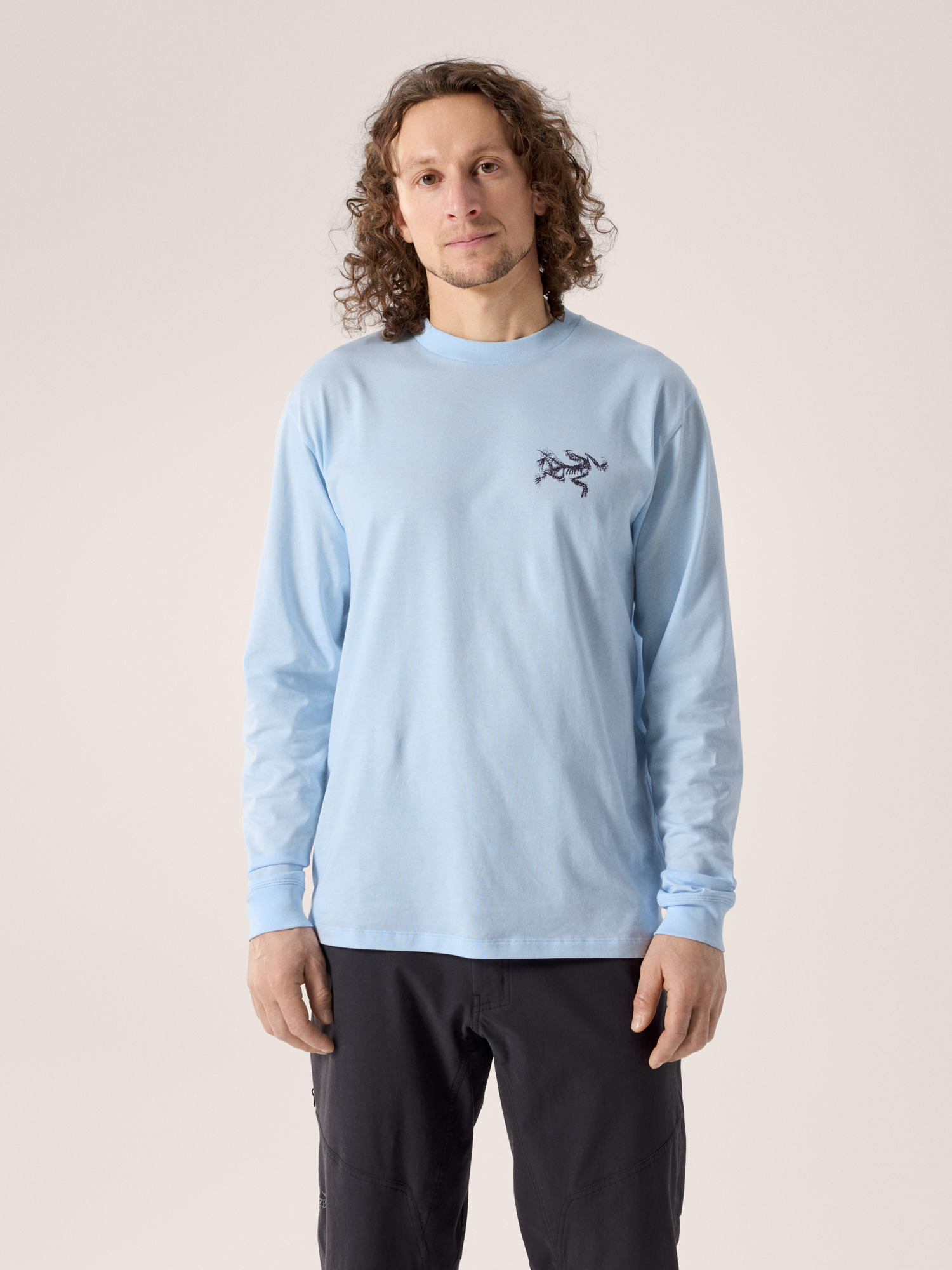 Kragg SL Cotton Bird Tile Shirt LS Men's | Arc'teryx United States