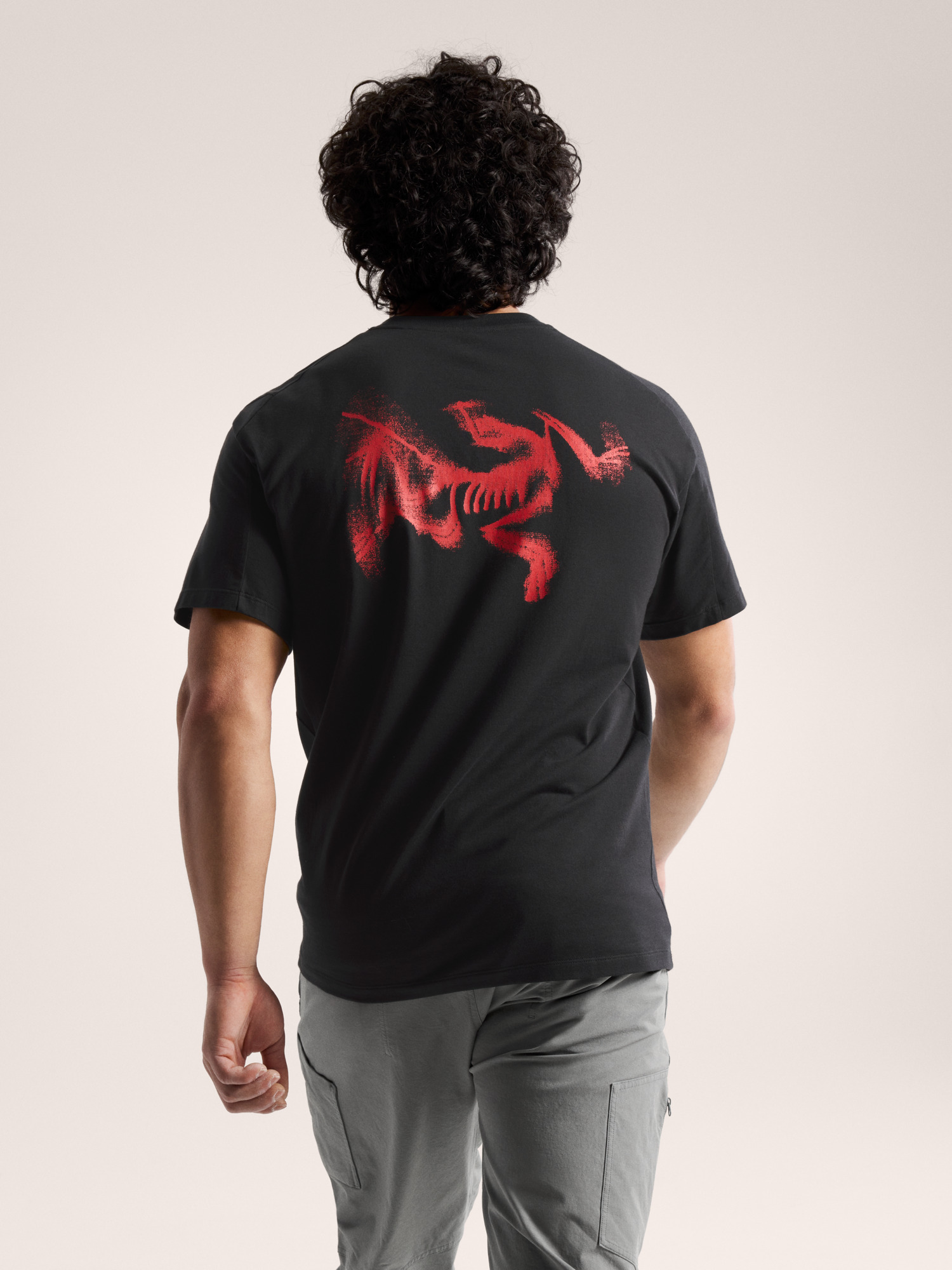 Kragg SL Cotton Blurred Bird Shirt SS Men's | Arc'teryx United States