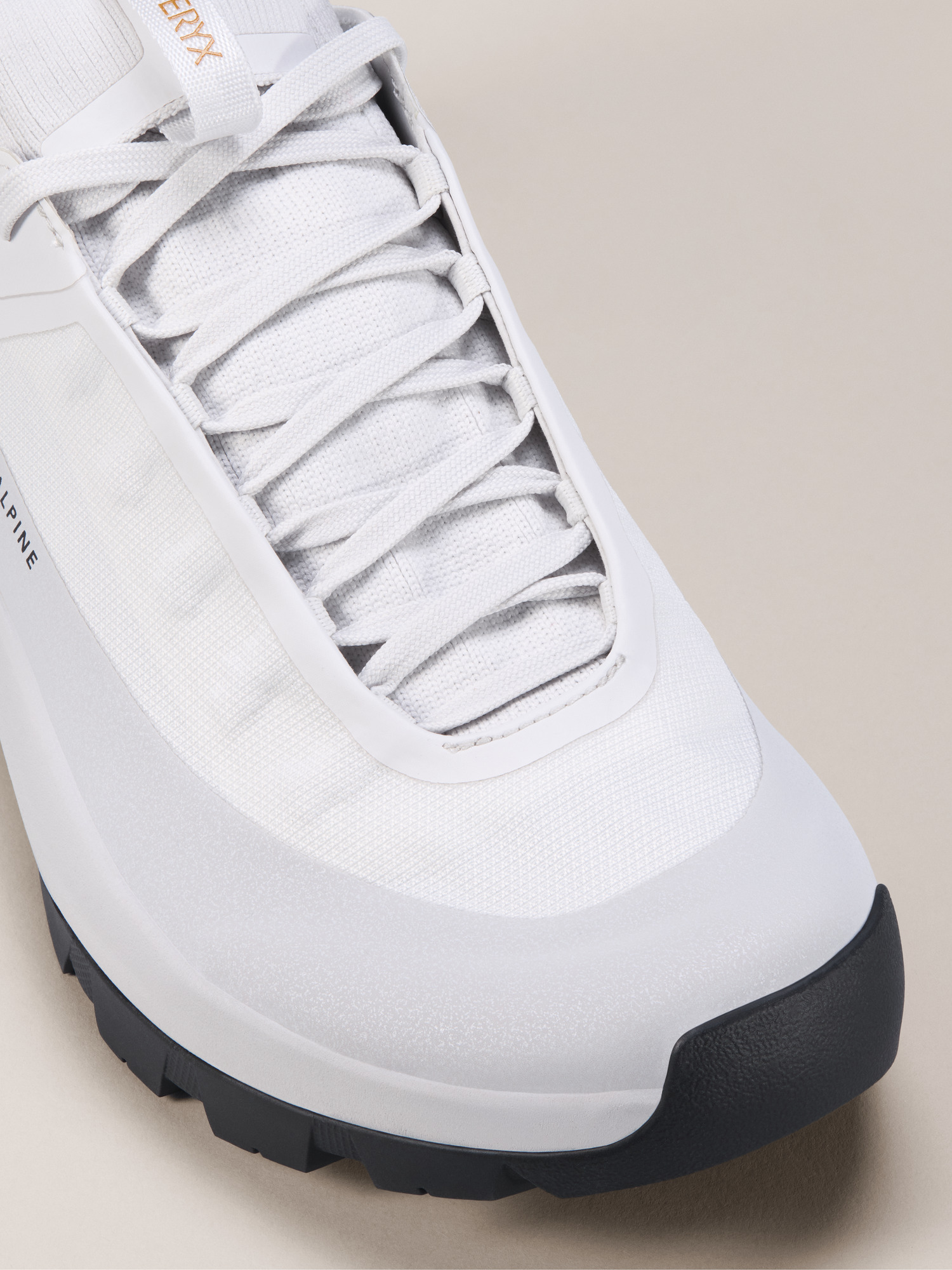 Vertex Alpine GTX Shoe Women's