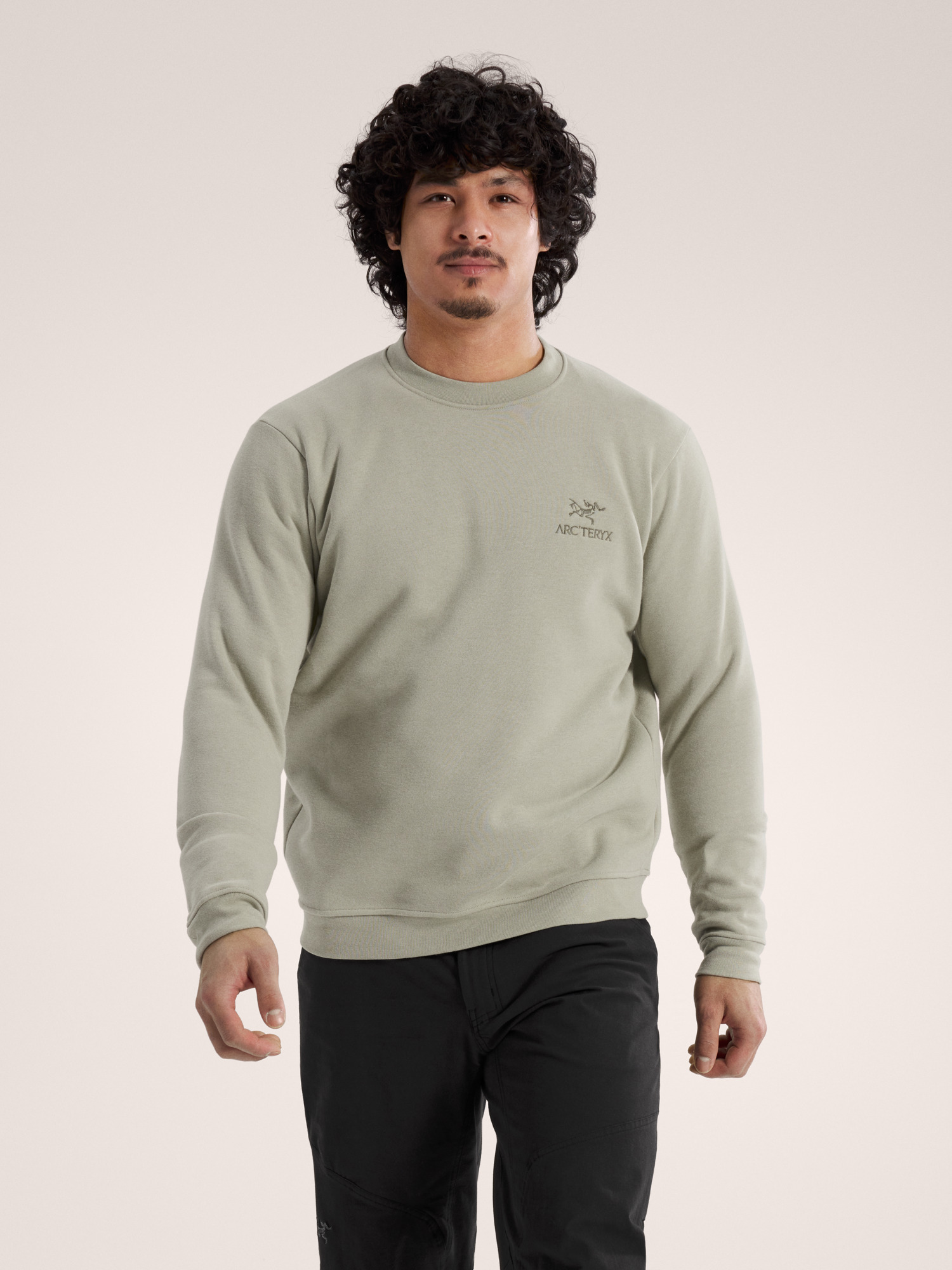 Emblem Fleece Crew Neck Pullover Men's | Arc'teryx United States