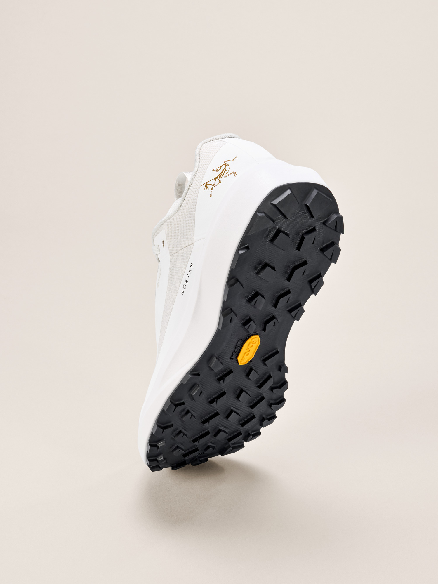 Мужские кроссовки Arc'teryx Norvan LD 4 GTX, цвет: Шёлковый — фото 4