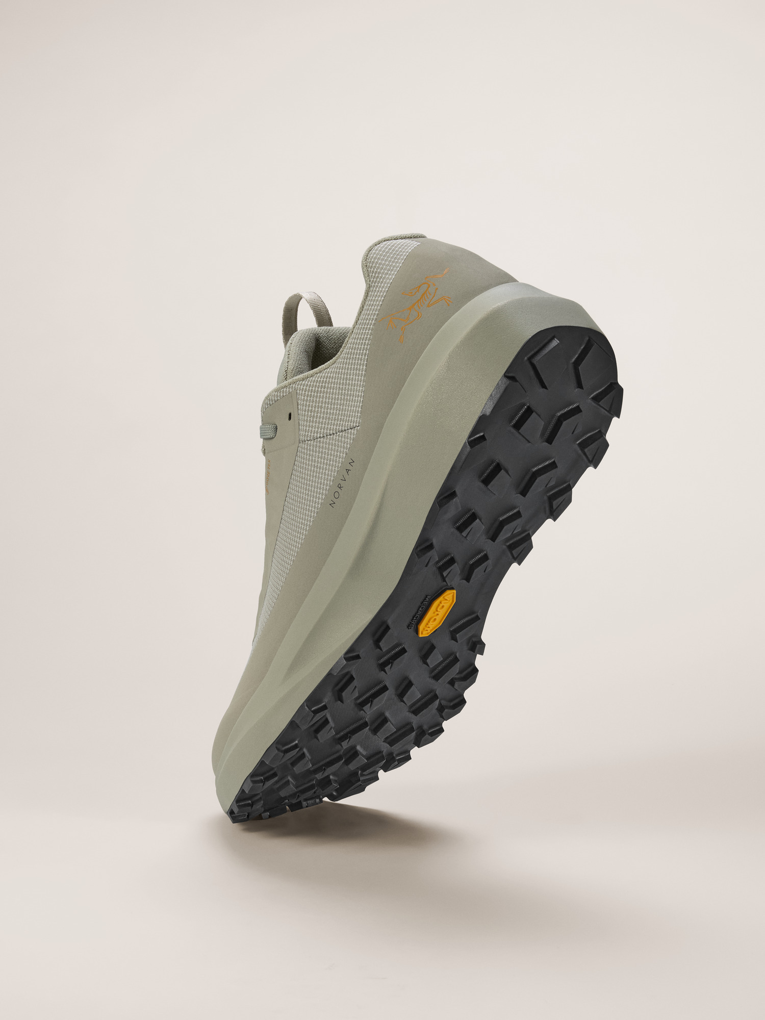 Norvan LD 4 GTX Shoe Men's | Arc'teryx United States