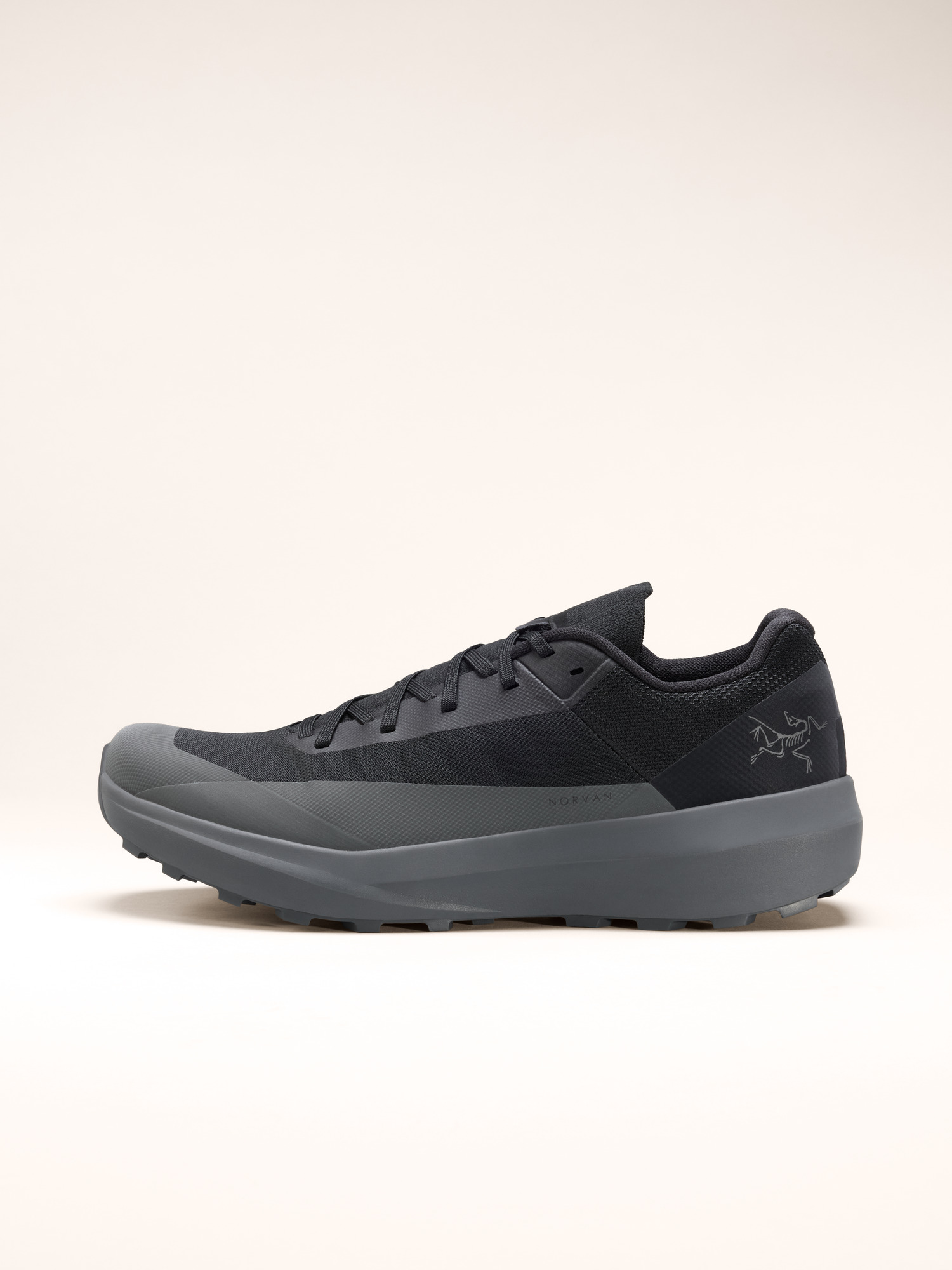 トトノエライト Norvan LD 4 GTX Shoe Men's | Arc'teryx Canada