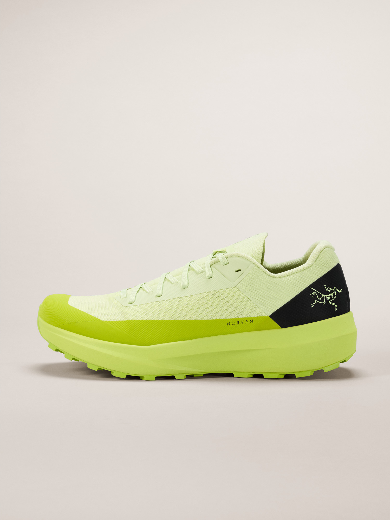 Norvan LD 4 Shoe Men