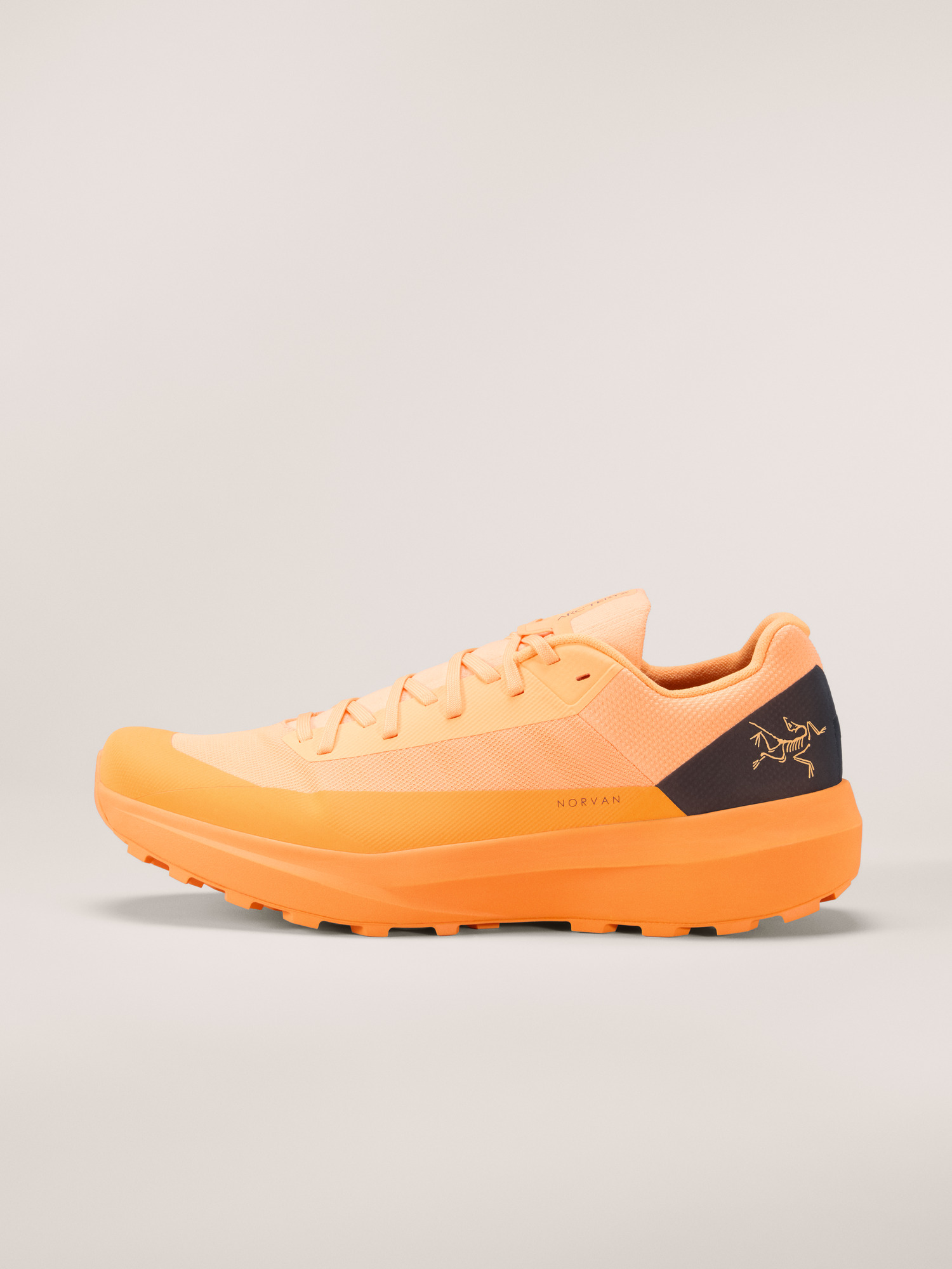 ノアノア　ルナドレス Norvan LD 4 Shoe Men's | Arc'teryx United States