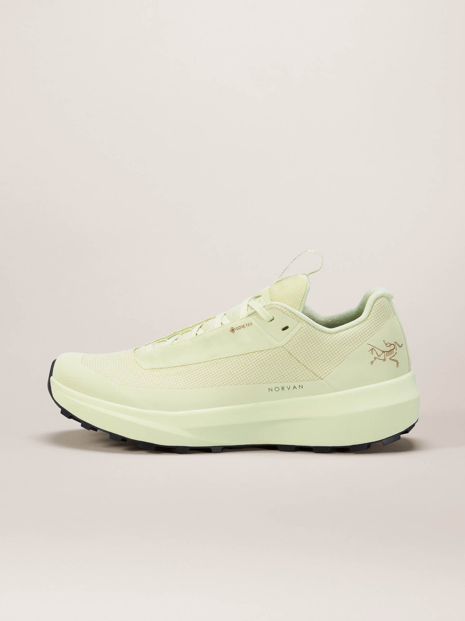 Norvan LD 4 GTX Shoe Women