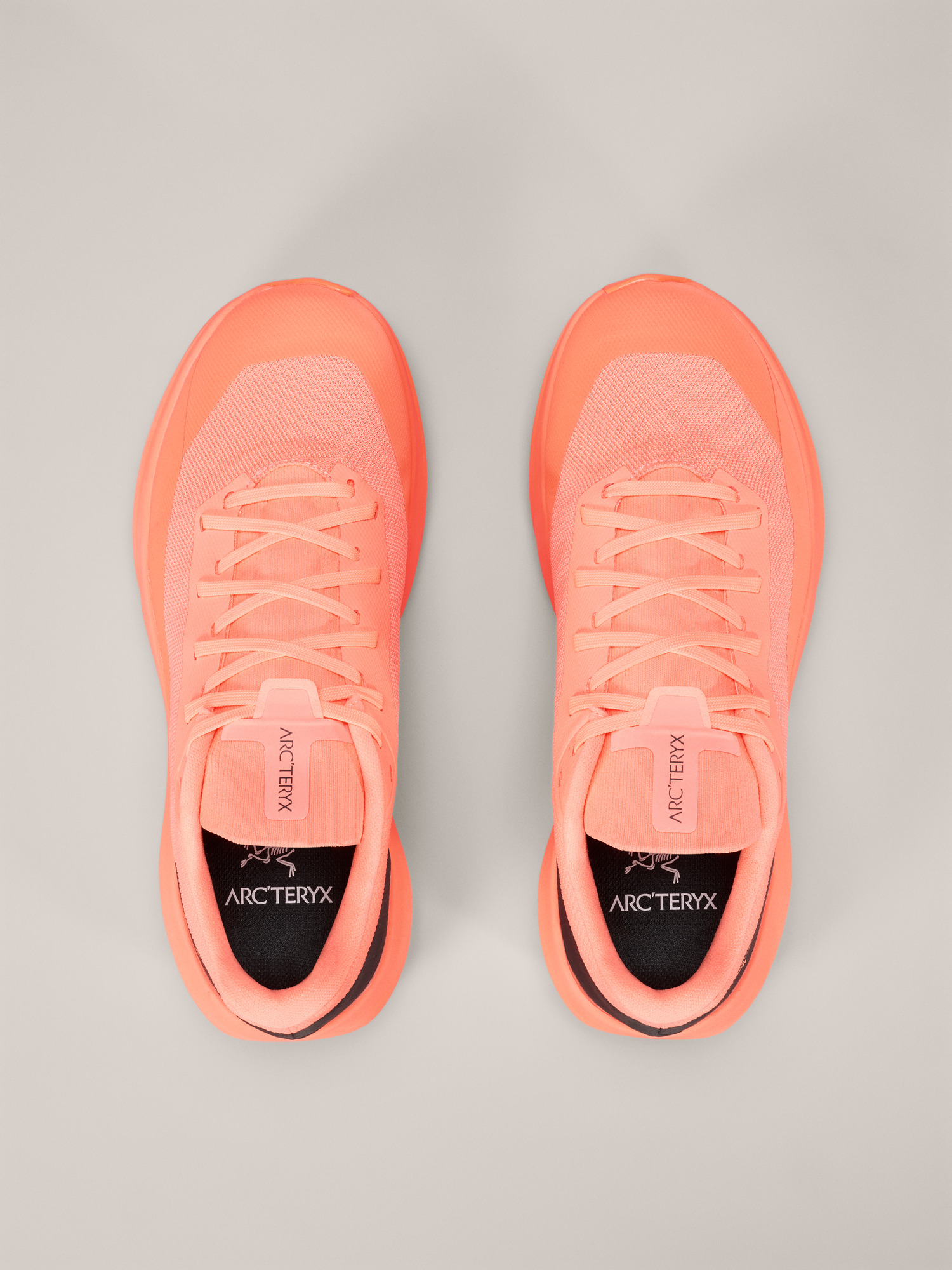 Norvan LD 4 Shoe