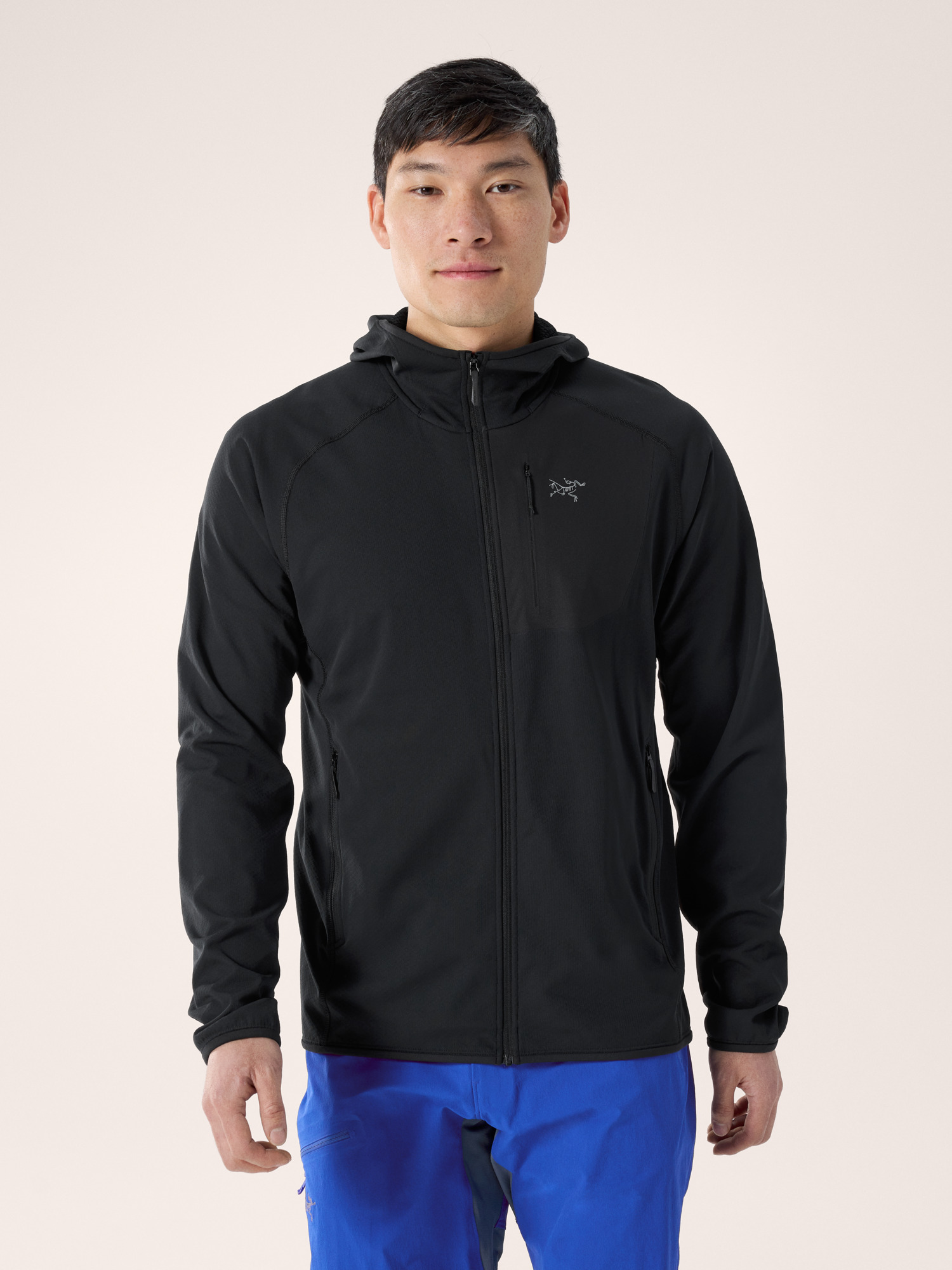 Delta Hoody Men's | Arc'teryx Canada