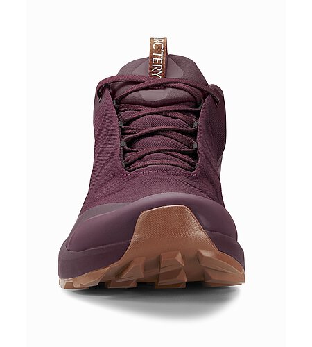 Arc'teryx Aerios FL GTX Shoe Men's