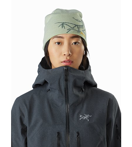 arcteryx jacket